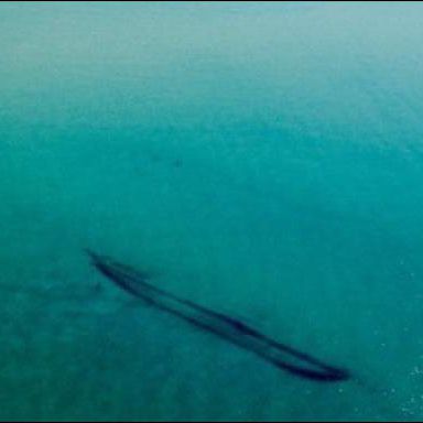 41+ Lake michigan gold gefunden