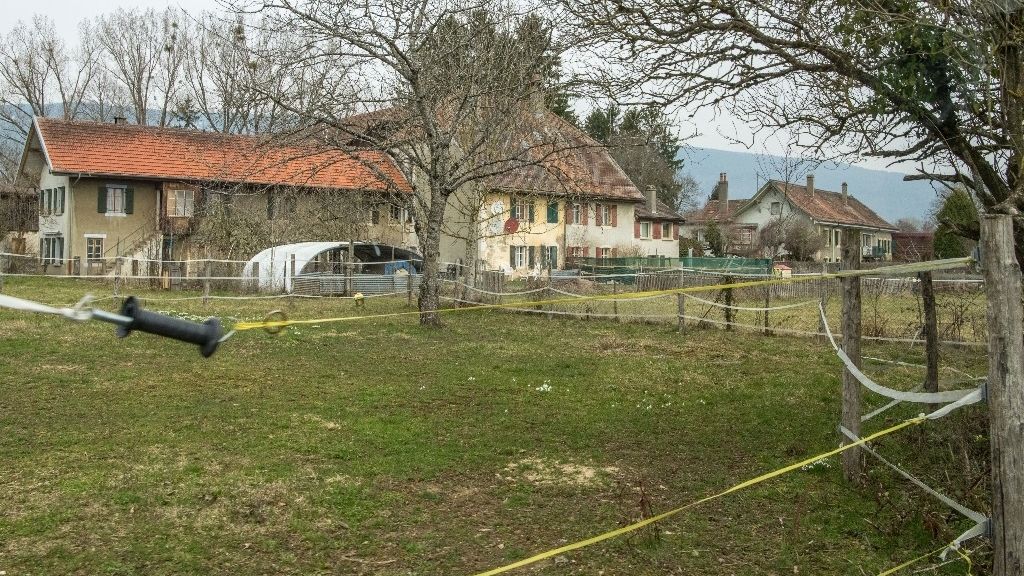 Tragedie Une Fillette De 2 Ans Se Noie Dans L Etang Des Voisins Le Matin