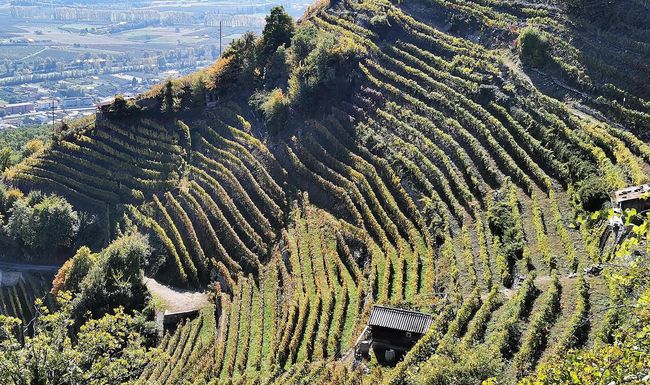 La Suisse et ses merveilles réservent des destinations gourmandes à tous les amateurs de bons produits. Et de beaux paysages.