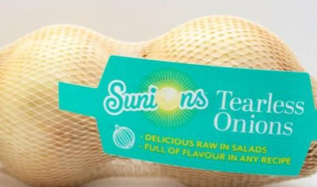 Les sunions sont garantis «sans larmes».