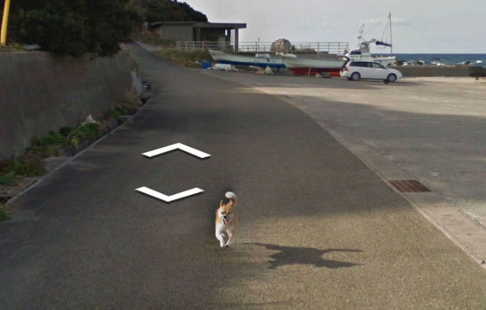 weird images on google maps chasing the car