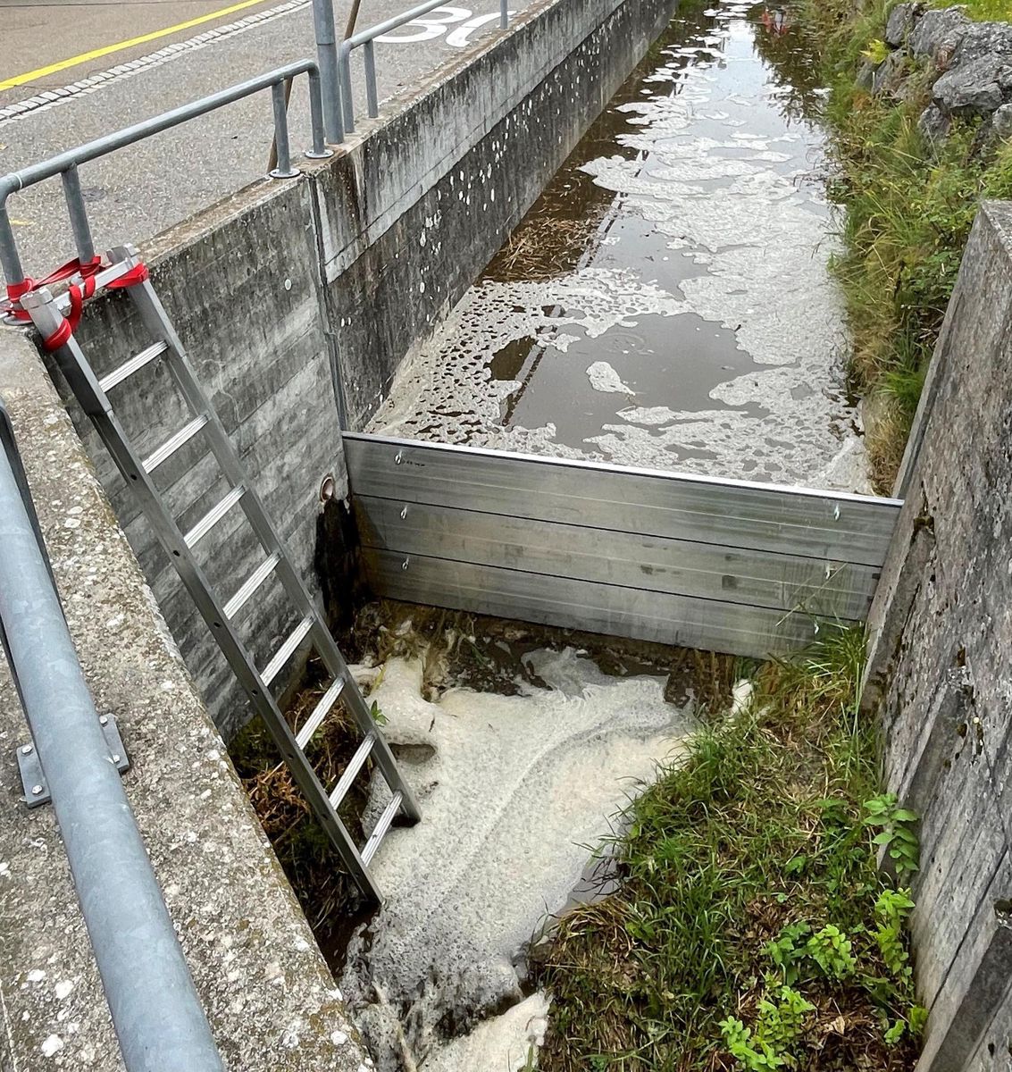 Steckborn TG, 22.08.2021: Am Sonntagnachmittag ist es in Steckborn zu einer Gewässerverschmutzung gekommen. Rund 100 Kubikmeter Jauche flossen in das Chalchofenbächli. Von dort ist die Jauche über weitere Bäche in Richtung Untersee geflossen. Wegen der Jauche verendeten mehrere Hundert und somit sämtliche Fische der betroffenen Bachabschnitte. Der Schaden kann noch nicht beziffert werden. Steckborn TG, 22.08.2021: Am Sonntagnachmittag ist es in Steckborn zu einer Gewässerverschmutzung gekommen. Rund 100 Kubikmeter Jauche flossen in das Chalchofenbächli. Von dort ist die Jauche über weitere Bäche in Richtung Untersee geflossen. Wegen der Jauche verendeten mehrere Hundert und somit sämtliche Fische der betroffenen Bachabschnitte. Der Schaden kann noch nicht beziffert werden.