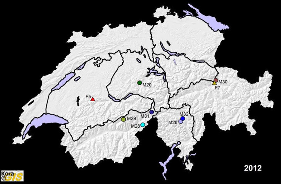 Ein Überblick darüber, wo sich in der Schweiz Wölfe befinden. (F = weiblich / M = männlich)