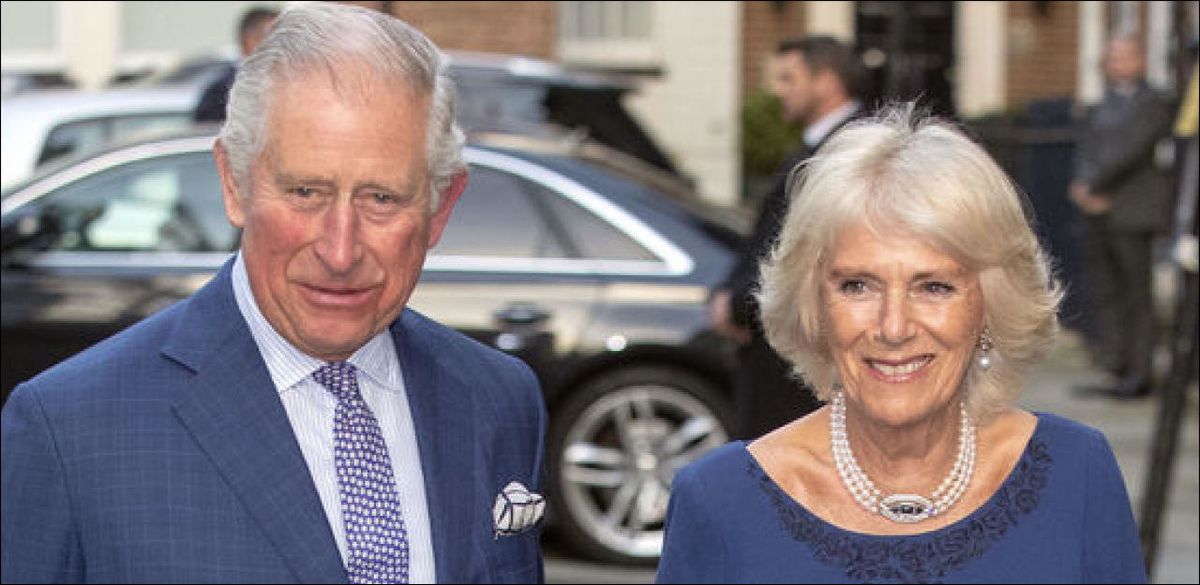 Fakten-Check: Haben Charles und Camilla tatsächlich einen Sohn? - 20