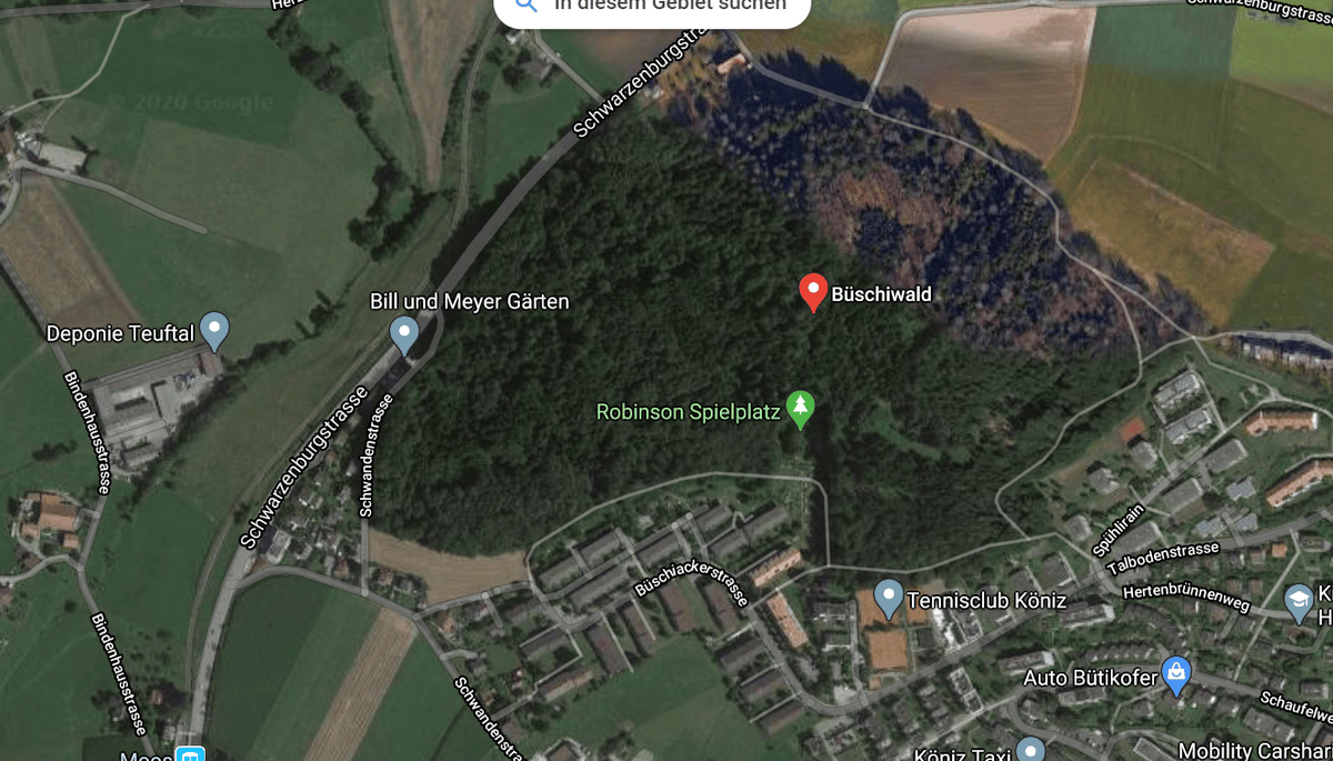 Büschiwald in Köniz