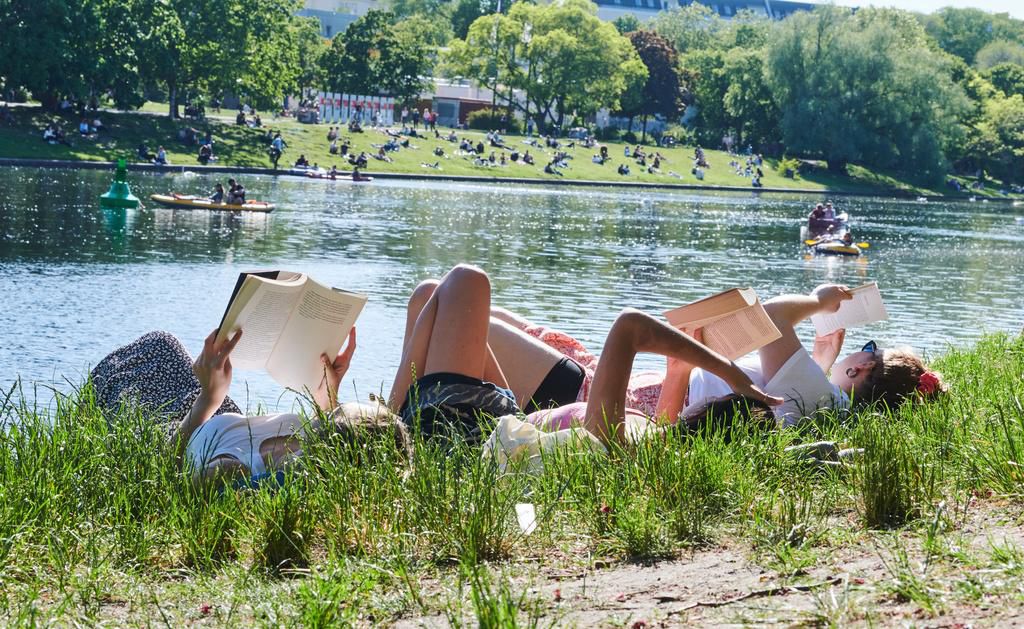 Lesetipps für die letzten Ferientage – 5 neue Romane, die sich lohnen - Vimarsana News