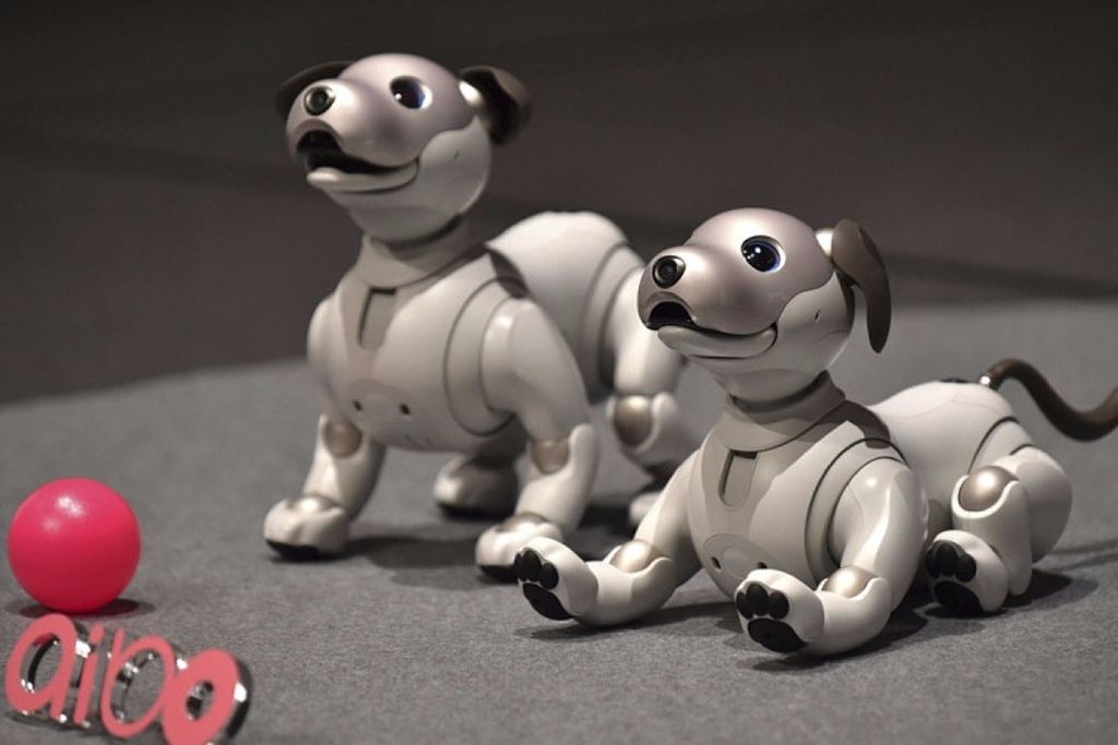 Prototype chinois AlphaDog est le chienrobot «le plus rapide du