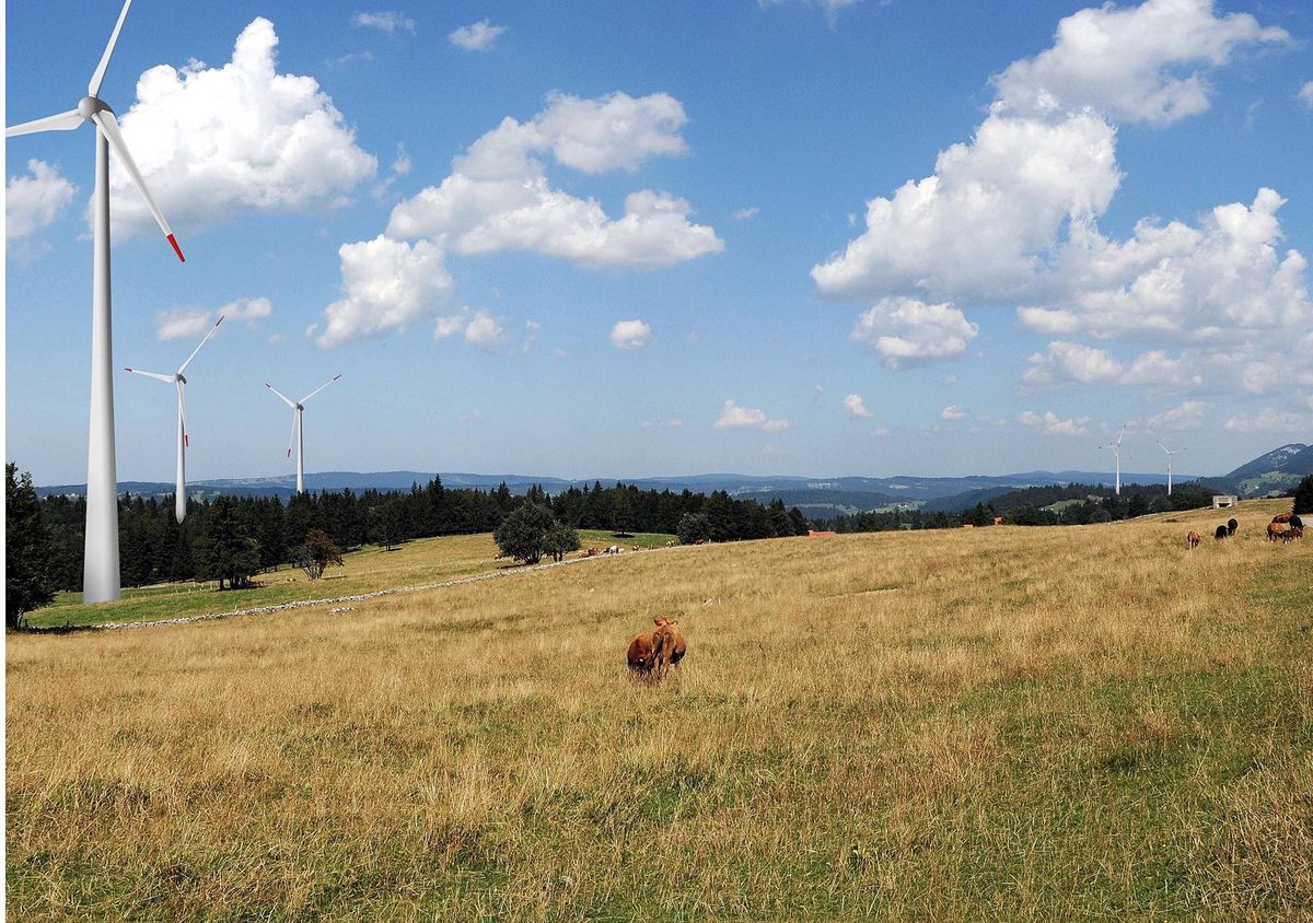 Transition énergétique – Ce que contiennent des conventions secrètes des parcs éoliens - Vimarsana News