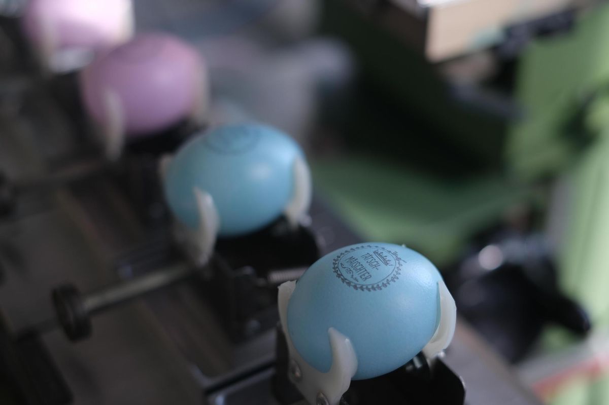 Wer wird Tätschmeister? 