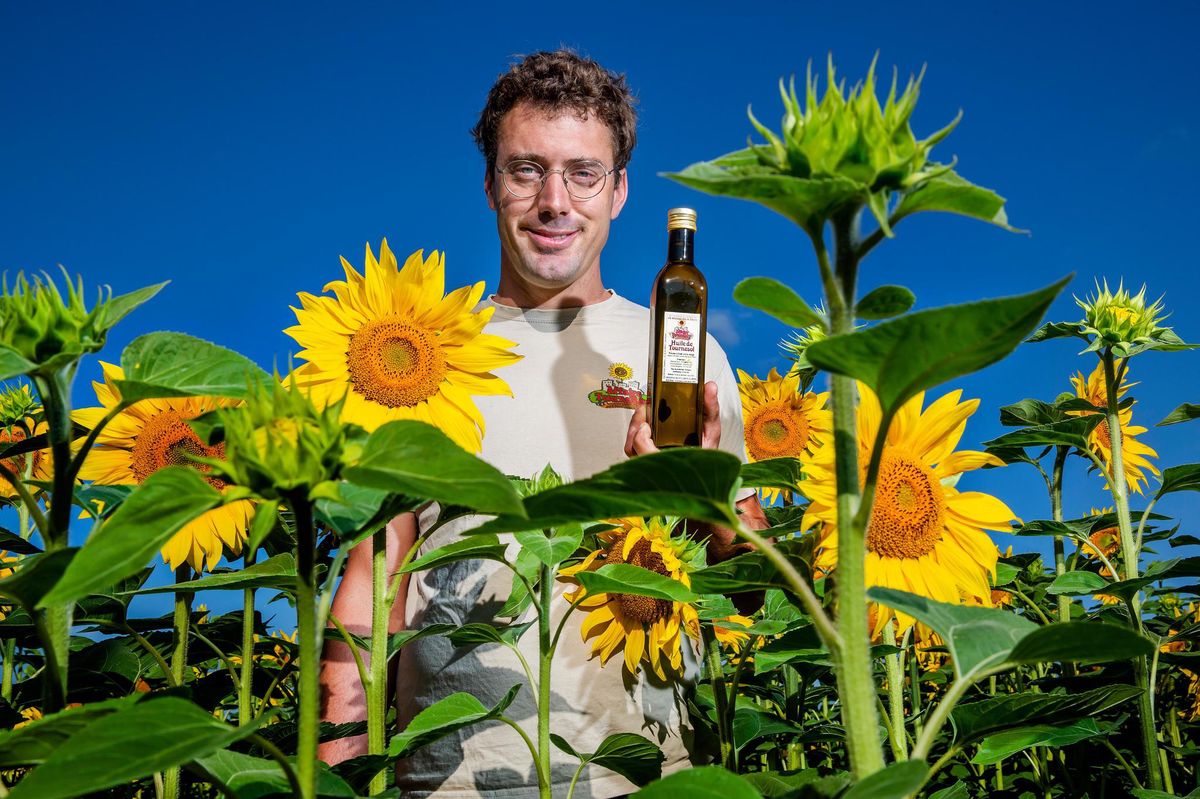 Les produits bios 1/5 – Les tournesols bios de la Ferme du Monniati - Vimarsana News