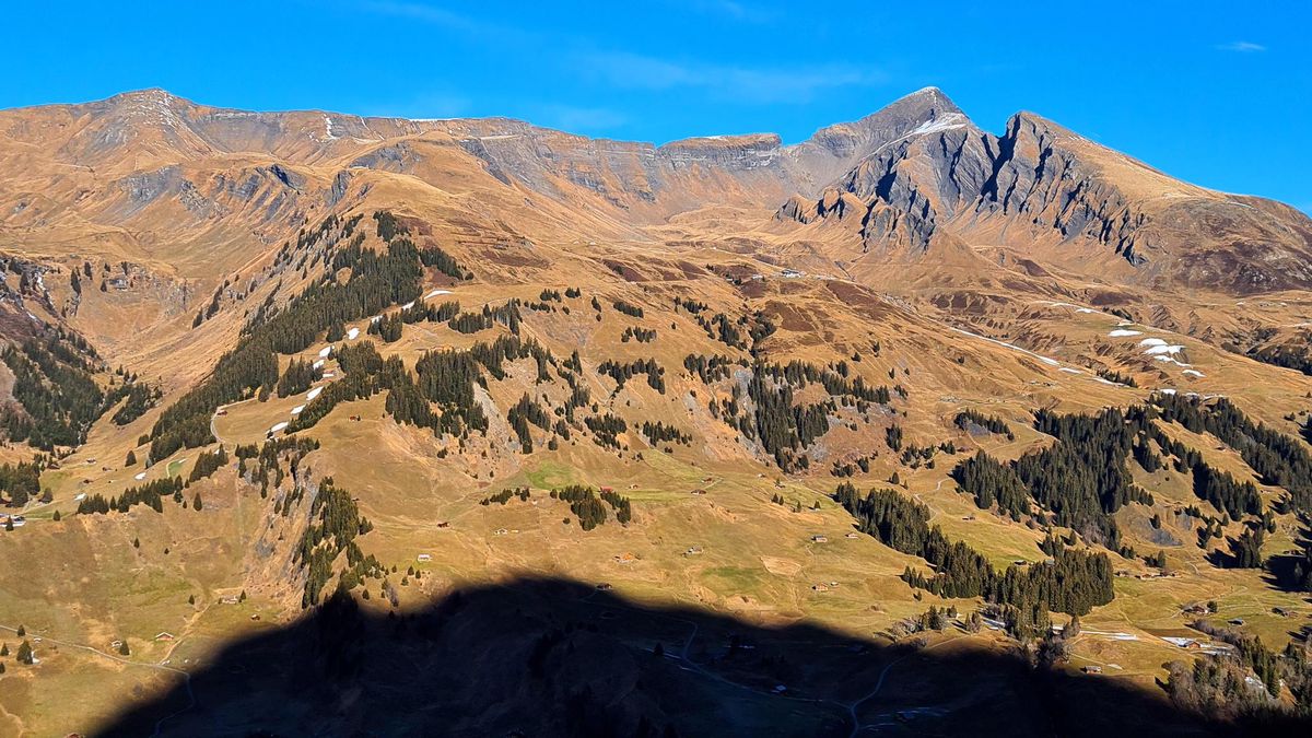 Unfall in Grindelwald – Wanderin beim Abstieg von der First in den Tod gestürzt - Vimarsana News