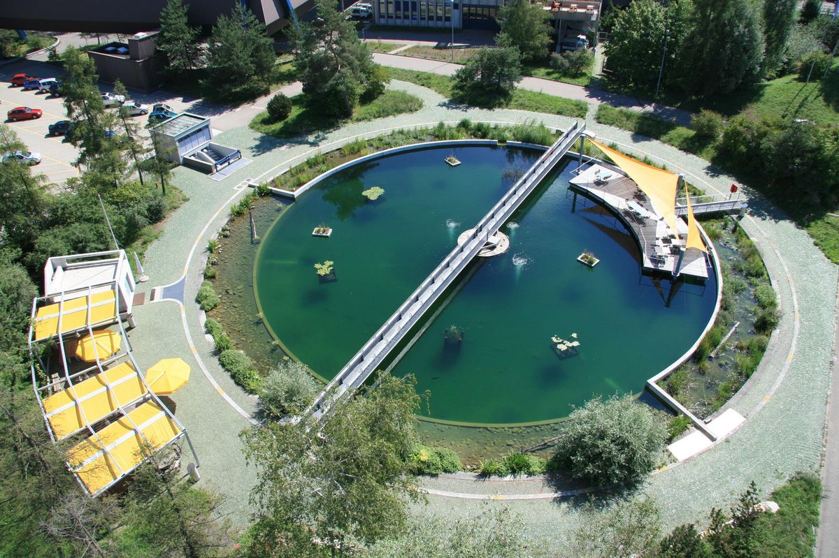 Ein Teil des Biotops und Erholungsgebiets, zu dem die vier stillgelegten Klärbecken im Werdhölzli umgenutzt wurden.