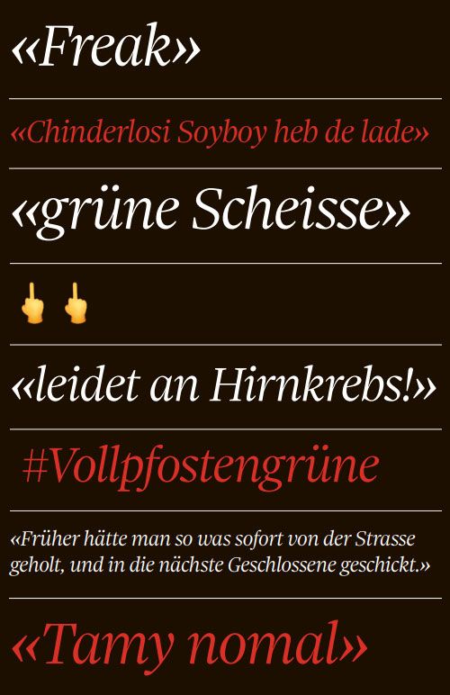 Der Grosse Shitstorm Tages Anzeiger