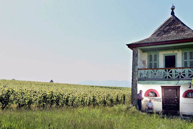 Le Cœur De Satigny Bat Au Rythme Des Poetes Du Vignoble Tribune De Geneve