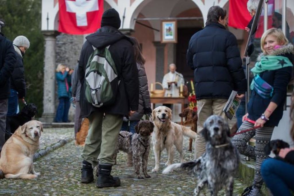 Les animaux tessinois les mieux protégés de Suisse? 24