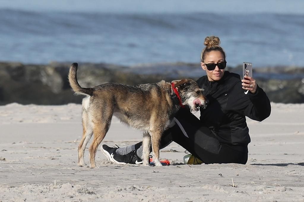 EtatsUnis Les adoptions d'animaux en hausse durant la