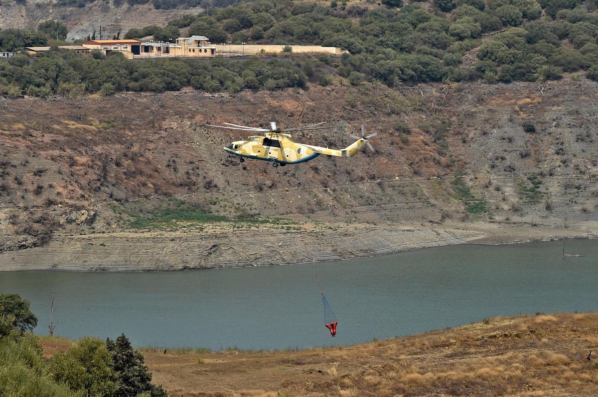 Afrique du Nord – Incendies en Algérie: un «réseau terroriste» accusé après un lynchage - Vimarsana News
