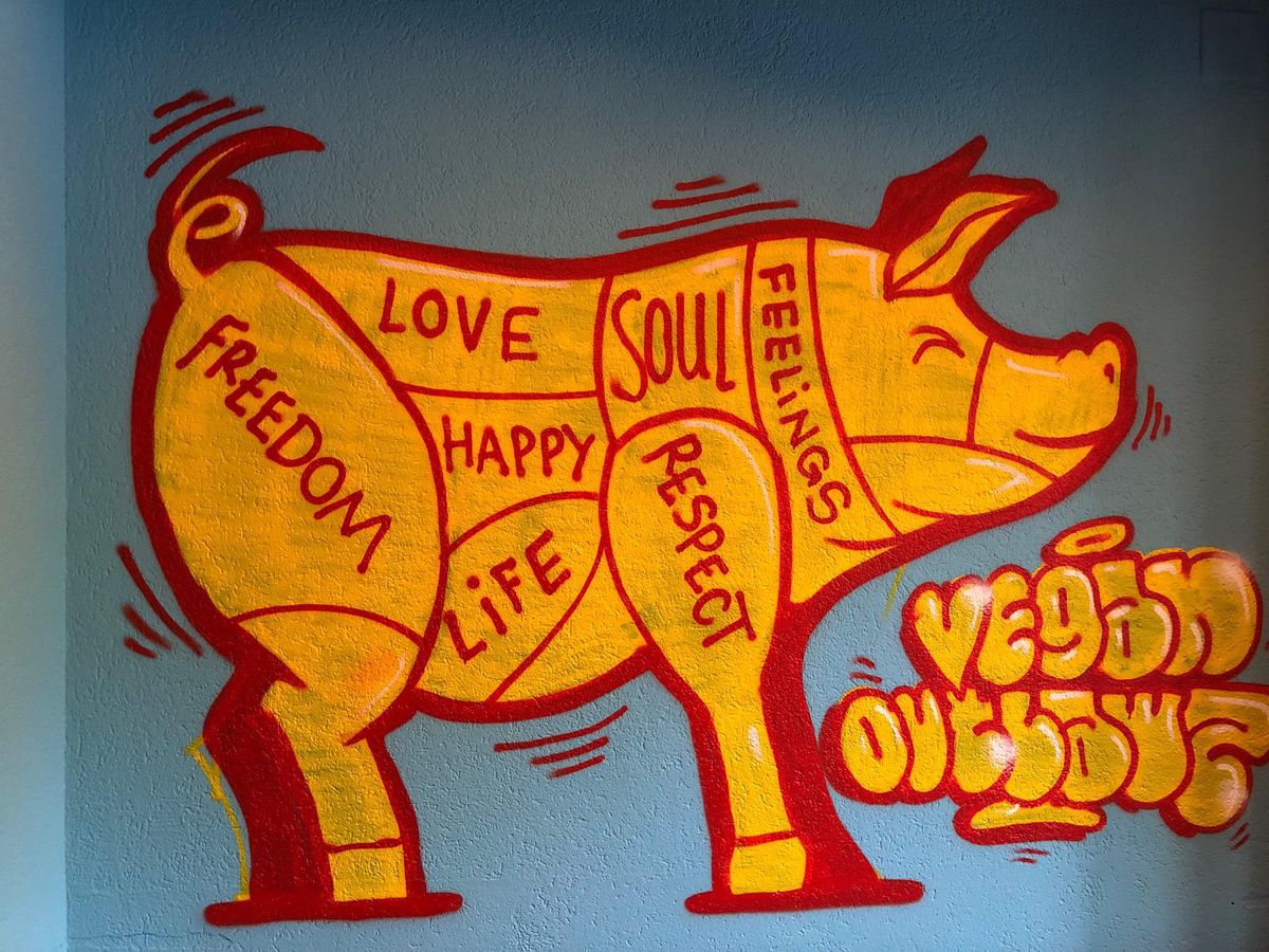 Glückliche Tiere: Outlawz Food produziert tierproduktfreie Lebensmittel. 