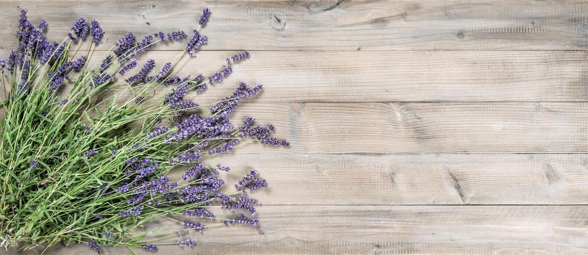 Zu verschenken, gratis gesucht – Pinnwand vom Samstag, 3. Juli - Vimarsana News