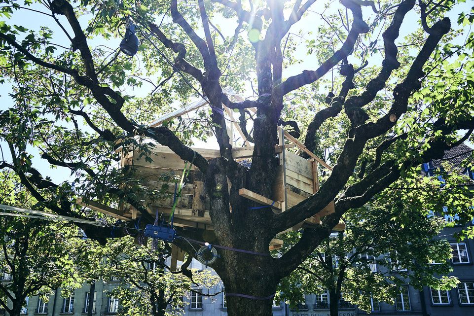 Baumhaus im Progr-Innenhof zu vermieten | Berner Zeitung