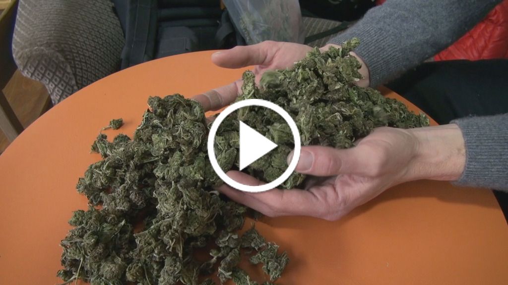 [Vidéo] Légal, le cannabis «light» cartonne en Suisse