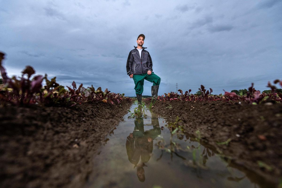Wetter setzt der Landwirtschaft zu – Maschinen im Dreck, Löcher im Dach - Vimarsana News