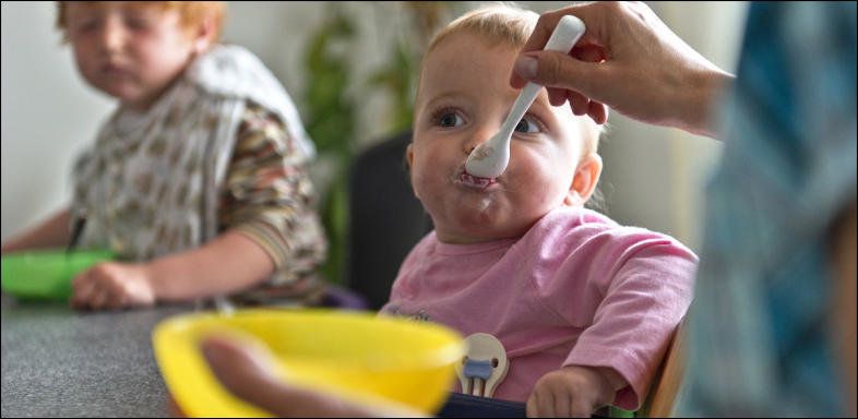 Suisse Regime Vegetalien Pointe Du Doigt Par Berne Minutes