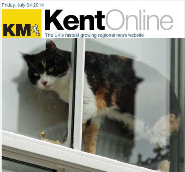 Royaume Uni Un Couple Assiege Par Un Chat Malefique Minutes Royaume Uni Un Couple Assiege Par Un Chat Malefique Minutes