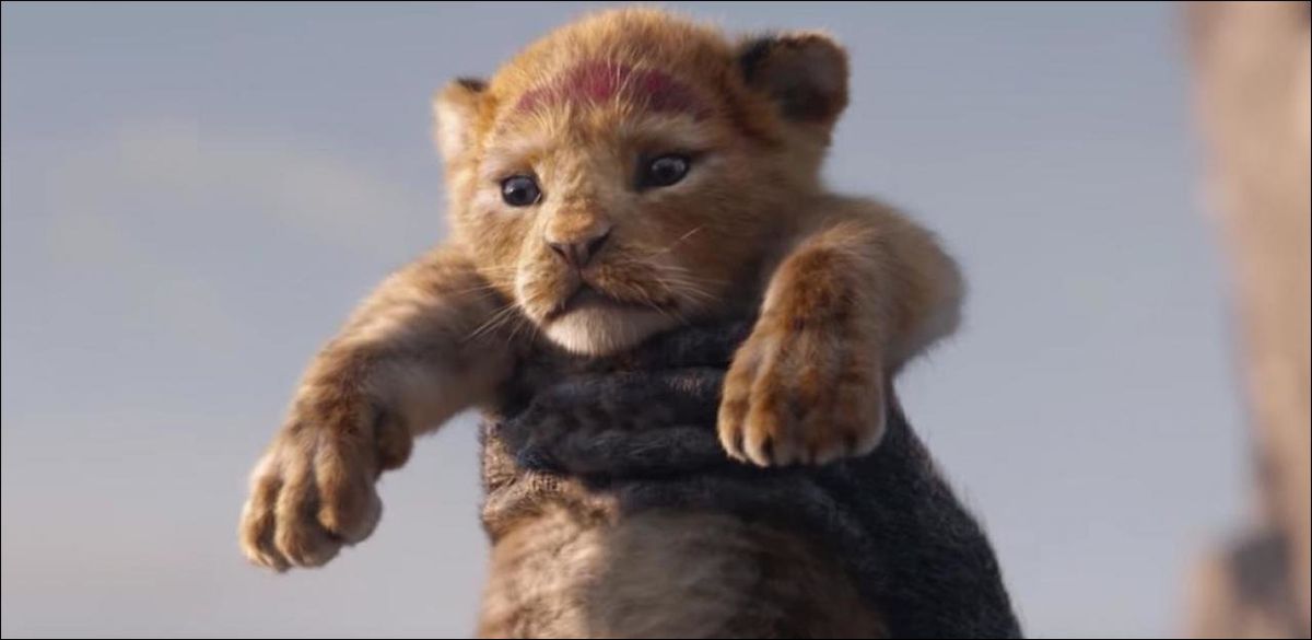Le Roi Lion 2019 Disney Plus Rating films: «Le Roi Lion», le plus attendu des films Disney - 20 minutes