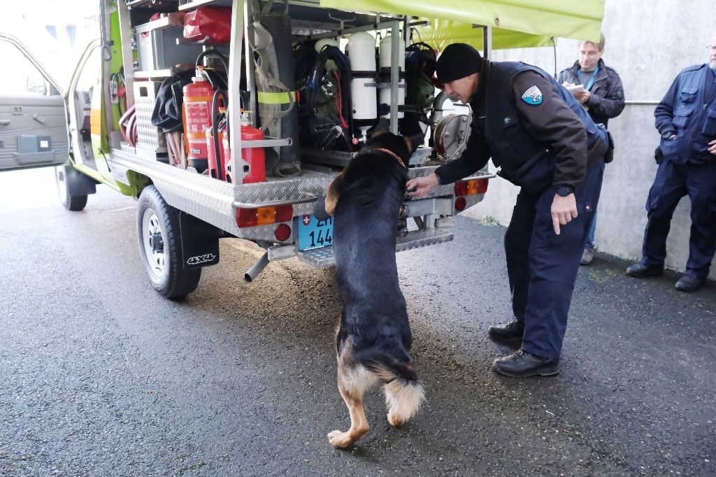 Dieser Polizeihund erkennt Handys an ihrem Geruch