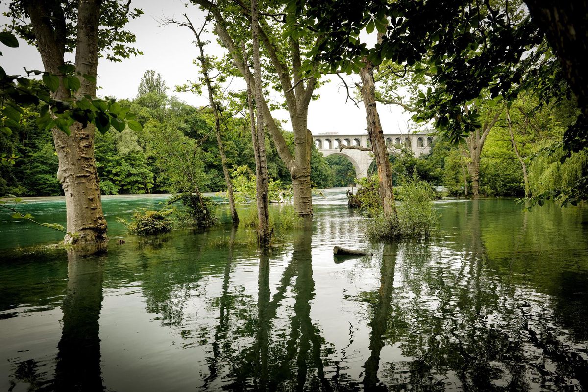 Rive droite du Rhône, en amont du pont Butin.