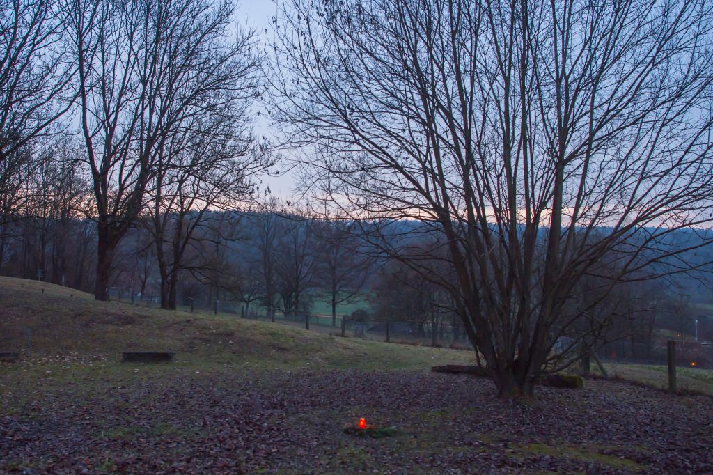 Zürcher Moschee-Schütze: Wer war O.? Was war sein Motiv?