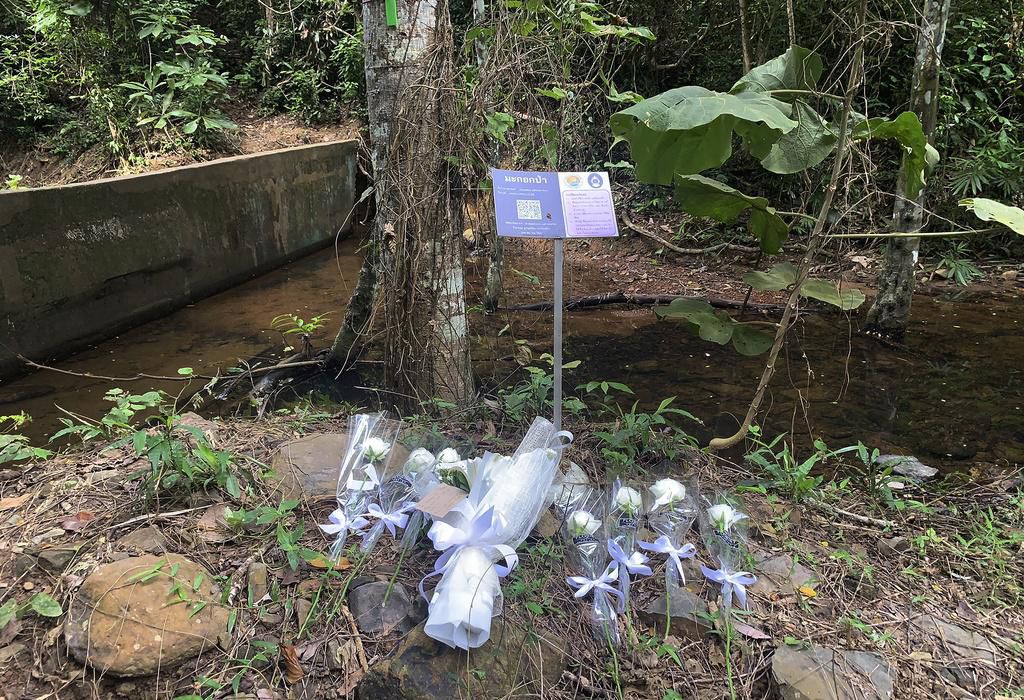 Getötete Schweizerin auf Phuket – 27-jähriger Thailänder gesteht Tat - Vimarsana News