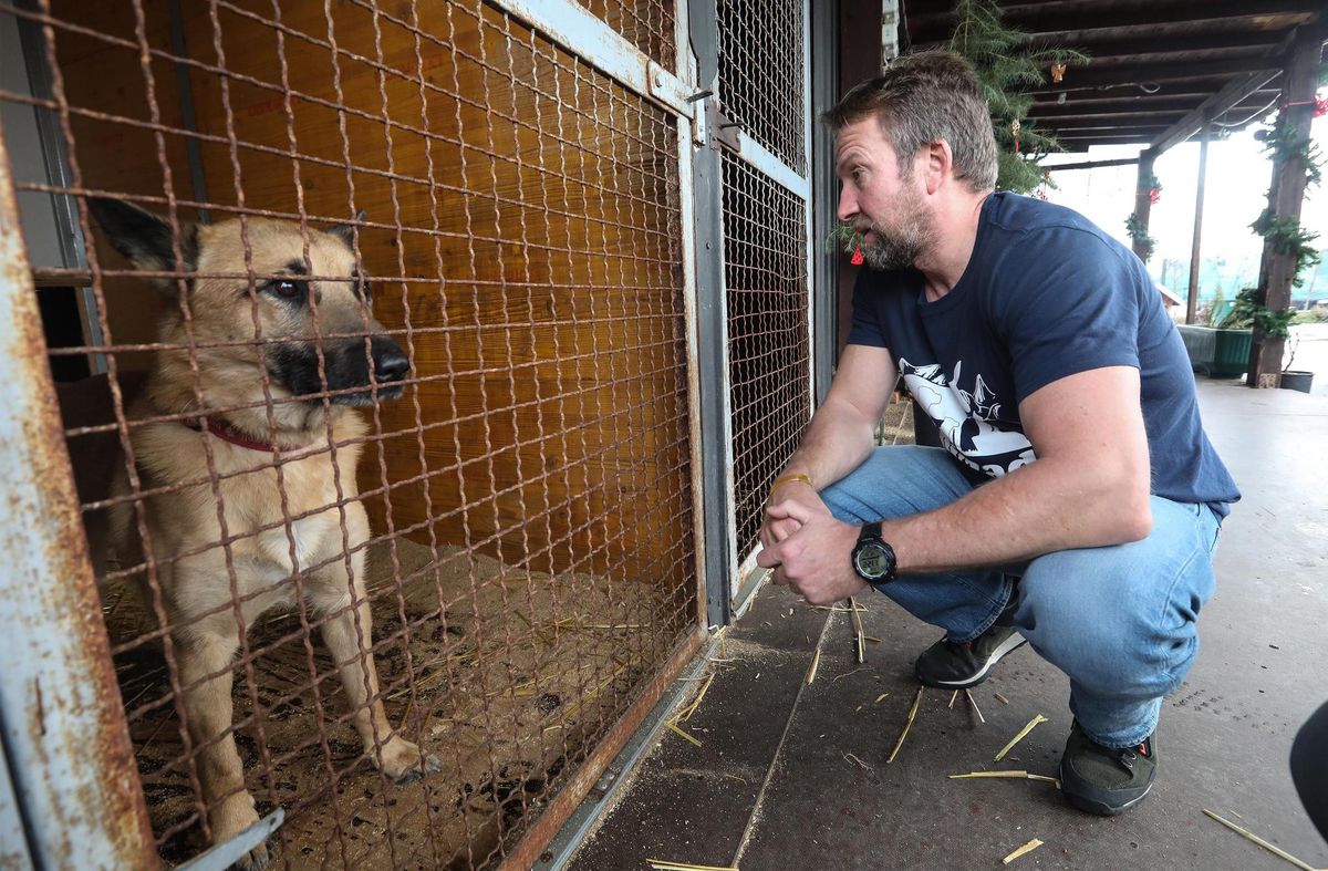 Der Ex-Soldat betrieb in Kabul ein Tierheim. Der Ex-Soldat betrieb in Kabul ein Tierheim.