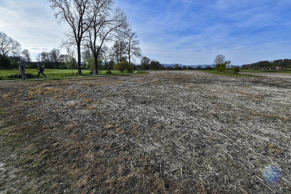 Und wieder sind die Wässermatten braun | Berner Zeitung