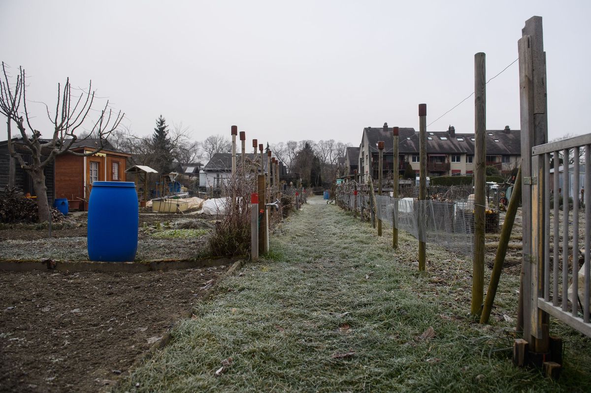 Die Familiengärten in der Unterrüti sollen einer Überbauung weichen. 