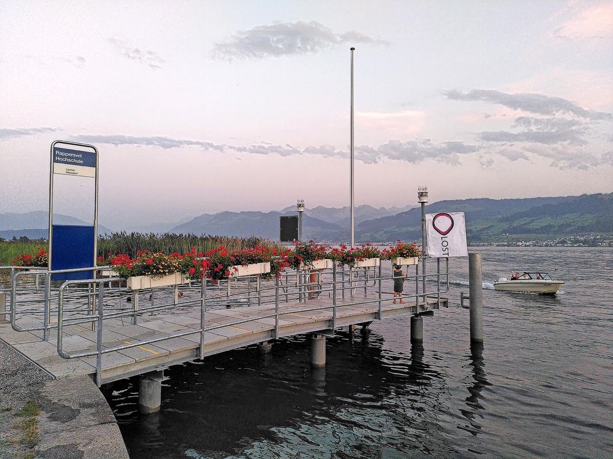 Nachtbubenstreich in Rapperswil – Rätsel um verschwundene Badeverbotstafel - Vimarsana News