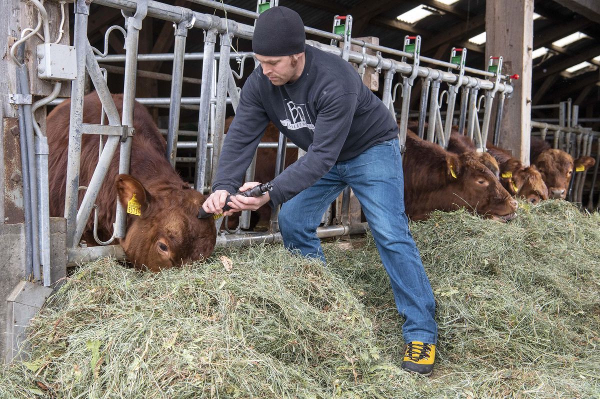 Protection des animaux De nombreux agriculteurs veulent