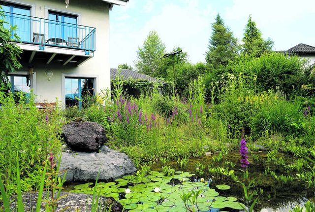 Artenvielfalt statt Pool und Rasen | Der Landbote