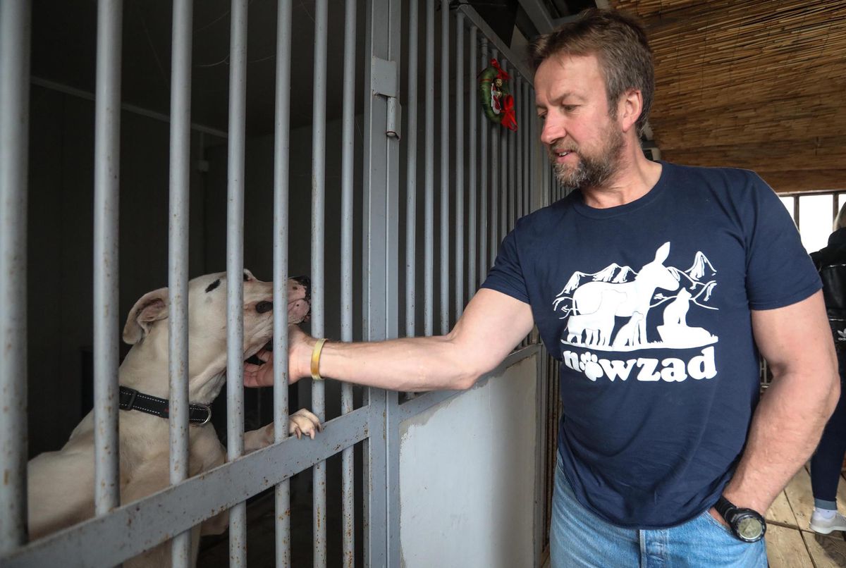 Der ehemalige Soldat Paul Farthing hat ein grosses Herz für Tiere. Der ehemalige Soldat Paul Farthing hat ein grosses Herz für Tiere.