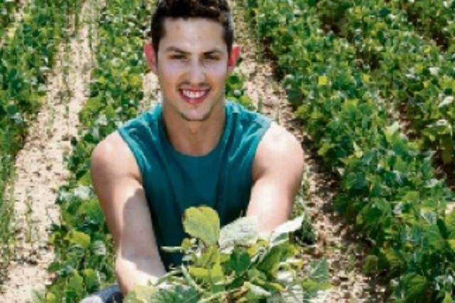 Bohnen zum Selberpflücken liegen im Trend | Der Landbote