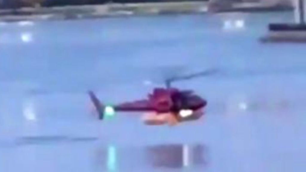Wellensittich Stürzt Beim Fliegen Ab