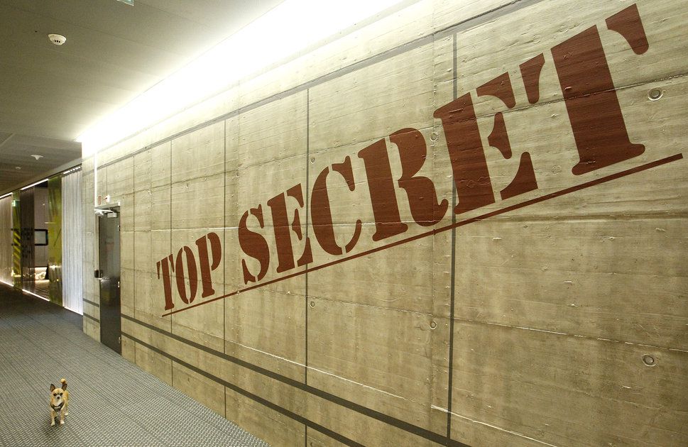 «Sie finden wohl oft Dinge, von denen sie gar nicht gewusst haben, dass sie sie suchen»: Hund Elmo (l.) vor einer Wand mit der Aufschrift «streng geheim» bei Google in Zürich. (9. März 2011)