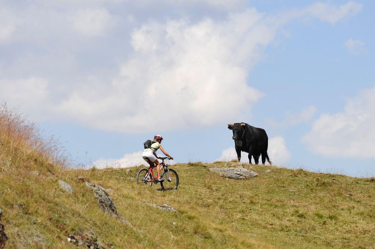 Vive les vacances en Suisse!