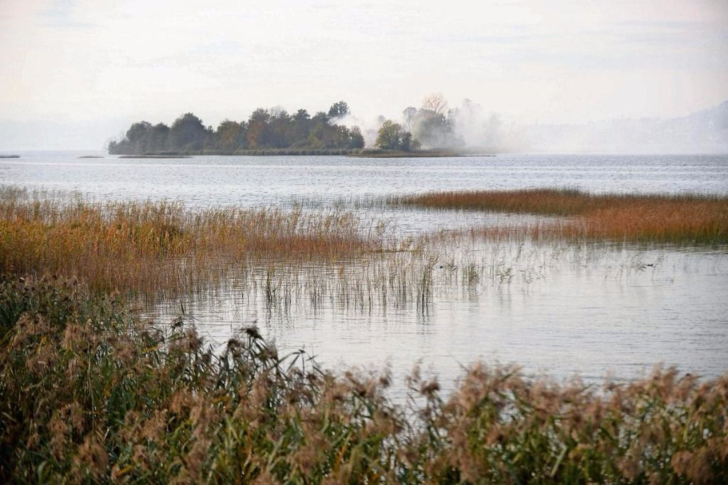 Keine Kameras auf der Lützelau