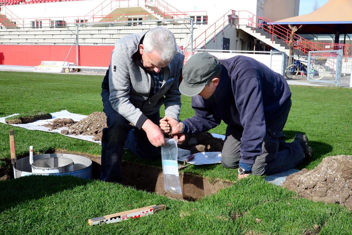 Rasenprobleme in Winterthur – Operation am Patient Schützenwiese | Der