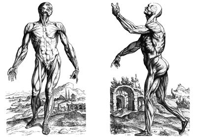 Die Revolution Der Anatomie es Anzeiger