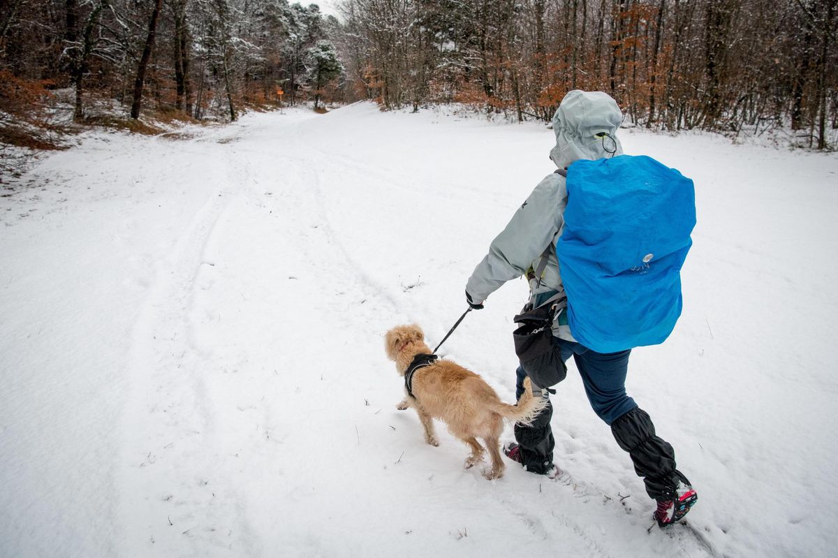 R&eacute;trospective 2021 &ndash; Les dix histoires sportives que nous avons aim&eacute; vous raconter