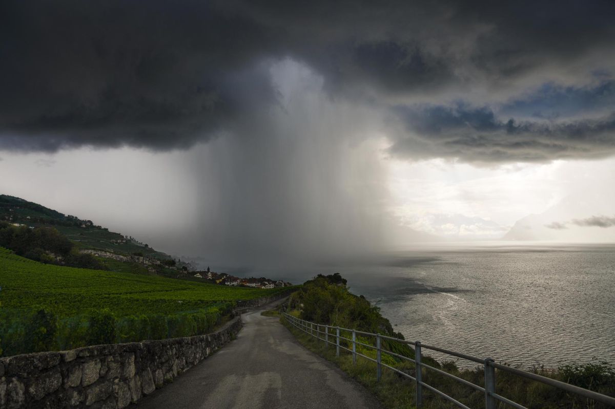 Meuh oui, c'est possible! – Il y a des tornades en Suisse, elles ont fait voler des vaches - Vimarsana News