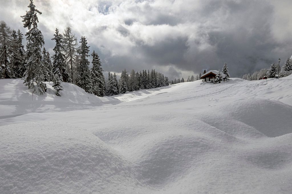 Siebenjähriger stürzt Abhang hinunter und stirbt | Tages-Anzeiger